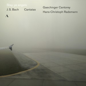 J. S. Bach: Cantatas