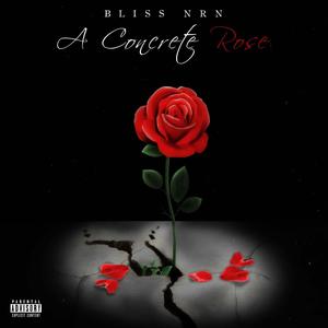 A Concrete Rose (Explicit)