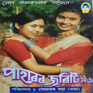 Narayanpurot Dekhisilu