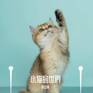 农场的早晨