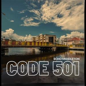 Code 501