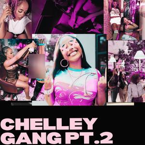 CHELLEY GANG, Pt. 2 (Explicit)