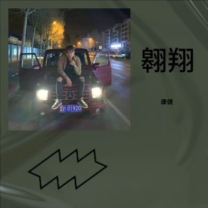 翱翔 (remix: REGI陈彦希|mac ova seas|林渝植Anoryz|雾都L4WUDU|王嗣尧Turbo)封面