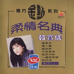 总有一天等到你封面