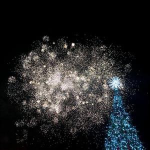 秋刀鱼不会过期 - 寂寞烟火