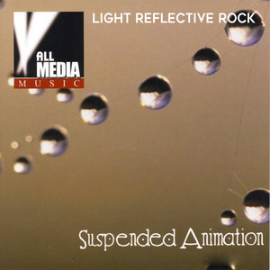 Suspended Animation: Light Reflective Rock