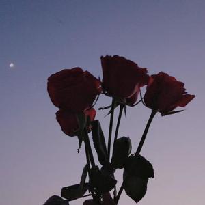 世间美好与你环环相扣 (温柔版|翻自 柏松)