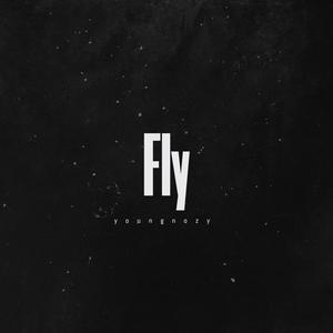 Fly