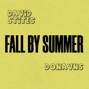 Fall by Summer (Explicit)