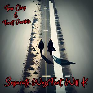 Separate Way (feat. Will K) (Explicit)