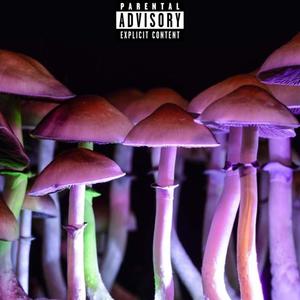 Off The Shrooms (feat. Nando!) [Explicit]