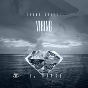 VIBING (Tarraxo softness) (Explicit)