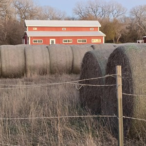 County Line (Explicit)