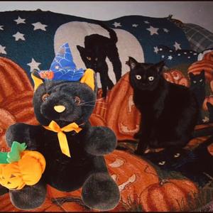 home town losers (LoserFriday x IT) (feat. spiritomb333, wandosaccount & Im gonna die alone) (Explicit)