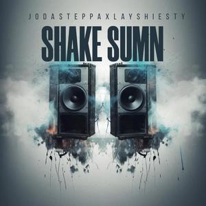 SHAKE SUMN (feat. LayShiesty) (Explicit)