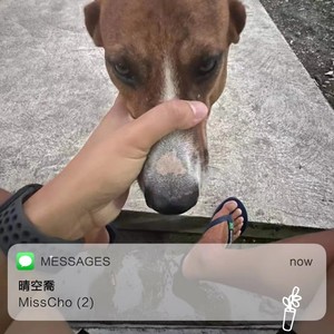明明他已离开妳封面