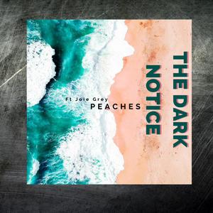 Peaches (feat. Joie Grey) (90s Pop Version)