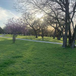 bad and boujee (feat. Kynlary & inluvwitit) (Explicit)