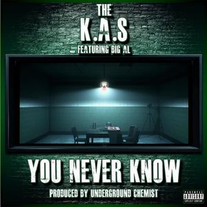 You Never Know (feat. Big Al) [Explicit]