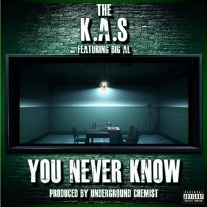 You Never Know(feat. Big Al) (Explicit)