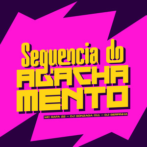 SEQUENCIA DO AGACHAMENTO (Explicit)