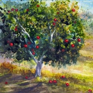 Support The Orchard