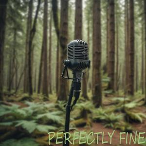 Perfectly Fine (Explicit)