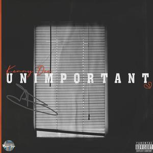 Unimportant (Explicit)