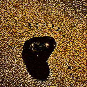 Star Beneath The Sky (feat. NDA & zerovolt) (Explicit)