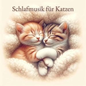 Schlafmusik für Katzen (Entspannung für Samtpfoten)