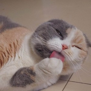 十月气温骤降是因为我见不到你