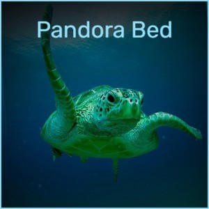 Pandora Bed