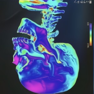 L A Z U L I (Explicit)