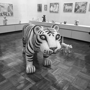 ACC (All Condition Control) (Explicit)