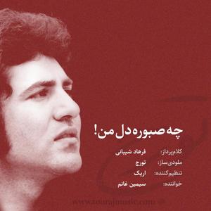 Cheh sabooreh del e man (feat. Simin Ghanem) (Explicit)