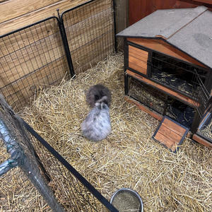 how much that cost? (Explicit)