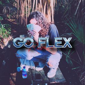 Go Flex (Explicit)