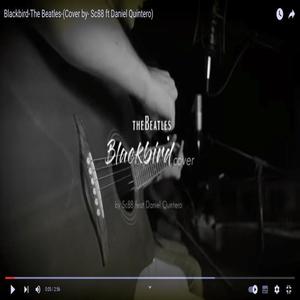 BlackBird (Explicit)