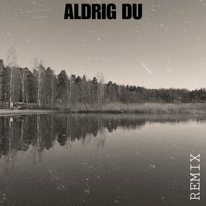 ALDRIG DU (Remix)