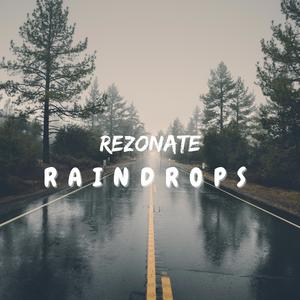 Raindrops (Radio Edit)