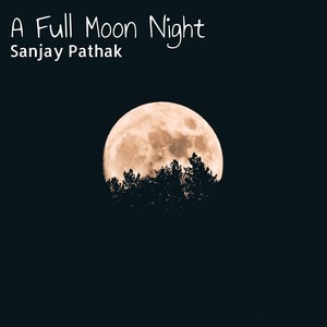 A Full Moon Night (Instrumental Version)