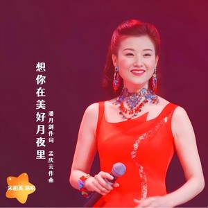 三番 - 想你在美好月夜里 (现场版)