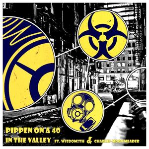 In the Valley (feat. Sipn MC, Analog, Wisdom2th & Charlie-Moon Meader) [Explicit]