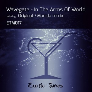 In The Arms Of World (Manida Remix)