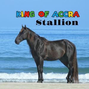 Stallion (Afro R&B Type Beat)