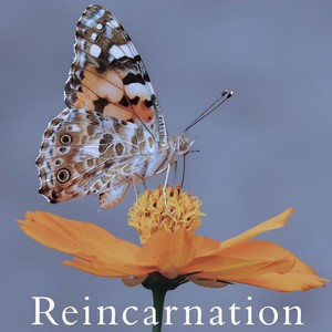 g0 ahead. (ゴーアヘッド)