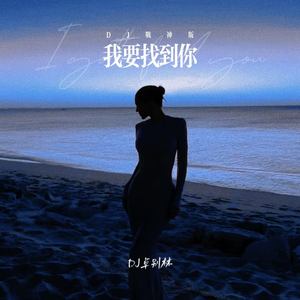 我要找到你 (DJ战神版)