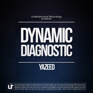 Dynamic Diagnostic