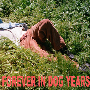 FOREVER IN DOG YEARS