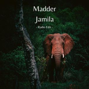 Jamila (Radio Edit)